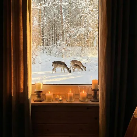 Lakeview Domeknakaszubach * Parchowo