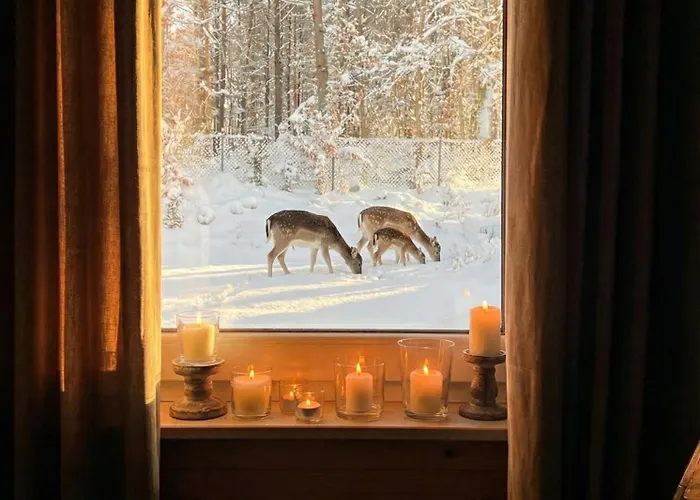 Lakeview Domeknakaszubach * Parchowo