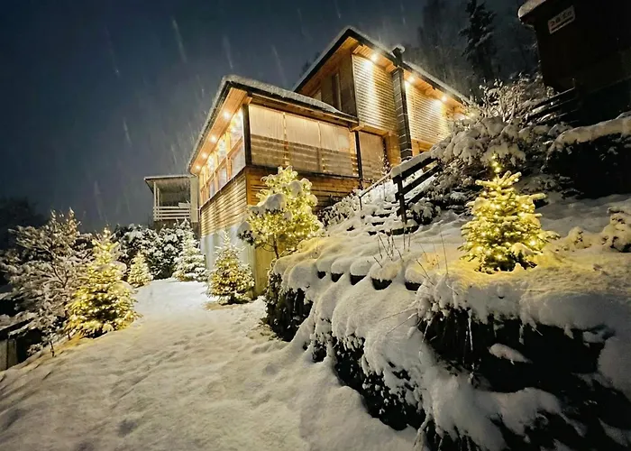 펜션 Lakeview Domeknakaszubach *